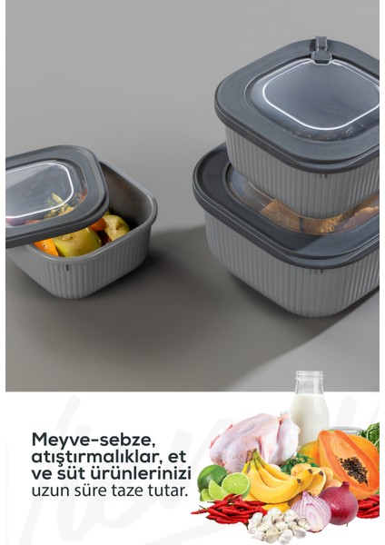 12LI 4X(600-1100-1800 Ml) Mikrodalga ve Difrize Uygun Vip Kapaklı Özel Saklama Kabı Seti Antrasit