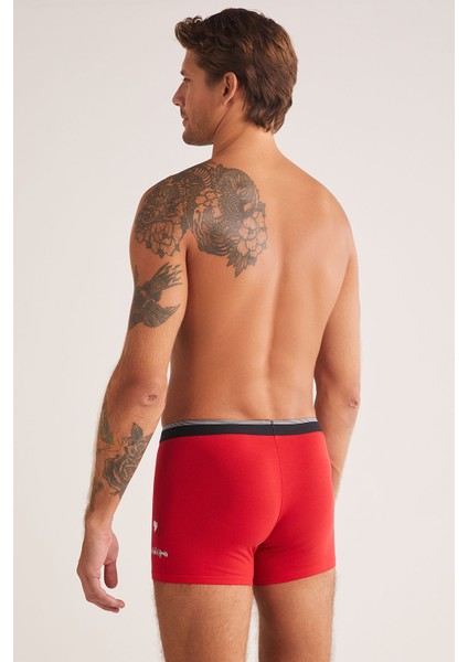 Hey Boxer modelleri