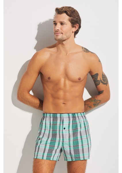 Tempt Boxer
