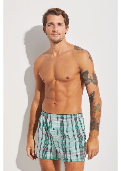 Tempt Boxer