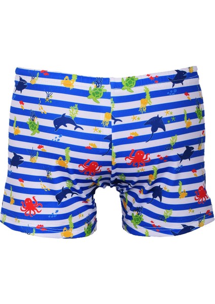 Eddy Sort fiyatları