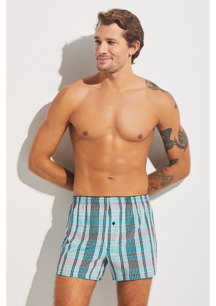 Tempt Boxer