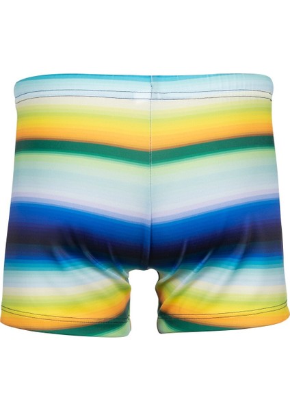 Arizona Sort fiyatları