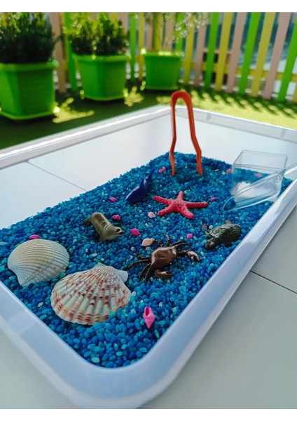 Okyanus Hayvanları Temalı Duyusal Oyun Seti (2-5 Yaş) - Montessori Oyuncak