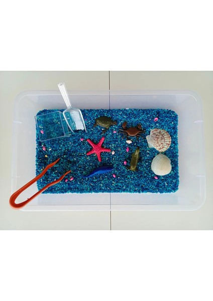 Okyanus Hayvanları Temalı Duyusal Oyun Seti (2-5 Yaş) - Montessori Oyuncak