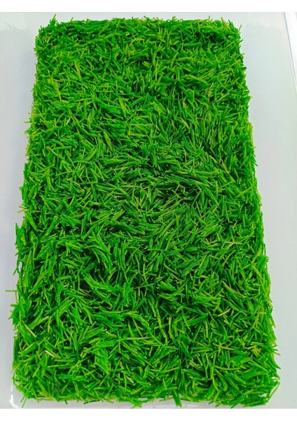 Duyusal Oyunlar Için Renkli Doldu Malzemesi - Yeşil Tel Şehriye (300 Gr.)