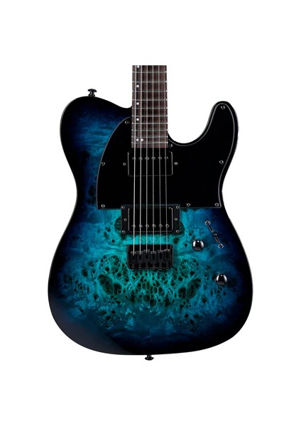 TE-200DX Blue Burst Elektro Gitar