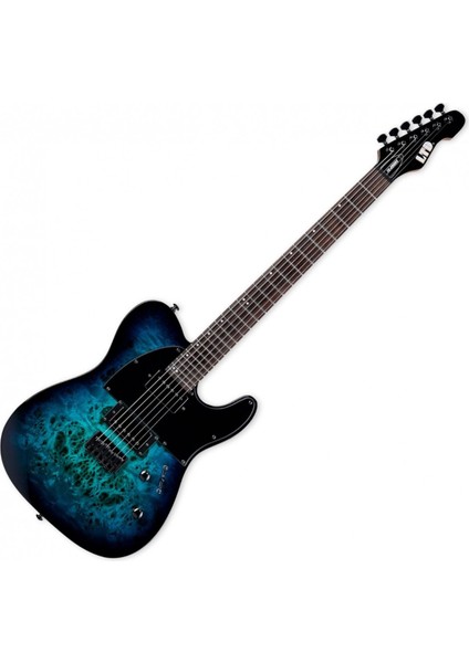 TE-200DX Blue Burst Elektro Gitar