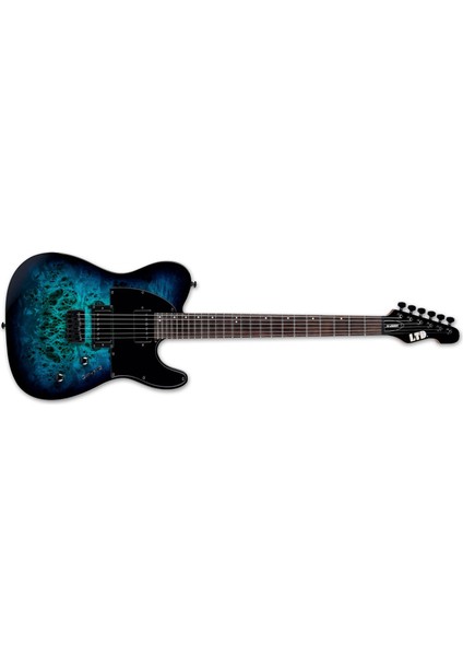 TE-200DX Blue Burst Elektro Gitar