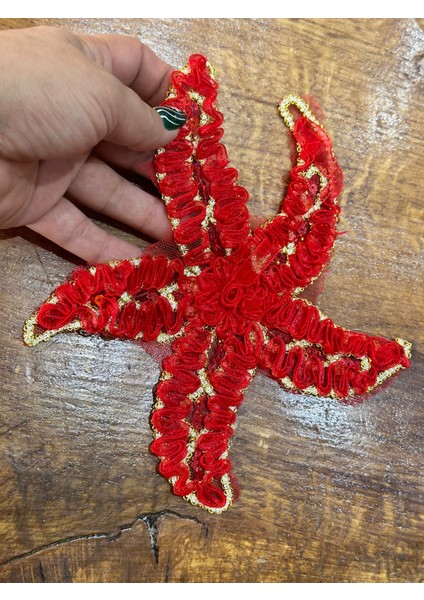 Kabartma Pul Payetli Deniz Yıldızı Aplike Dikiş Aksesuarı 19X19 cm