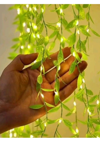 Dekoratif Yapay Söğüt Sarmaşık 3 Metre LED Ile Sarkan Ağlayan Söğüt 1 Dal Yeşil Yapraklı Bitki 80 cm