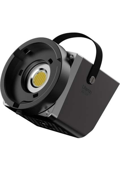 LT005 60W Bi-Color Cob Light