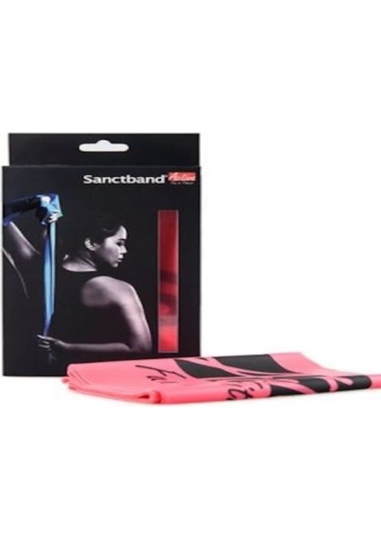 Sanctband Active Resistive Band 2.5 M Pembe