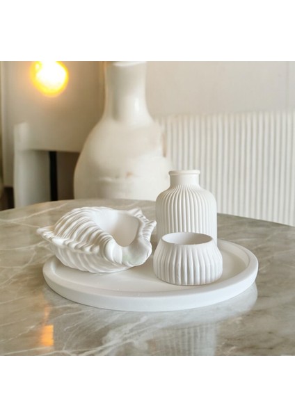 Atelier Purepool Dekoratif Deniz Kabuklu 4'lü Set