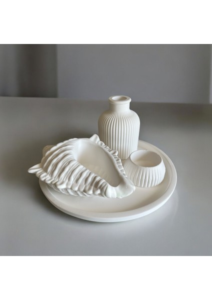 Atelier Purepool Dekoratif Deniz Kabuklu 4'lü Set