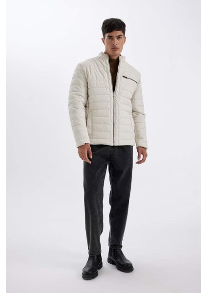 Slim Fit Dar Kesim Dik Yaka Fermuarlı Cepli Suni Deri Ceket Mont X4014AZ24WN fiyatları