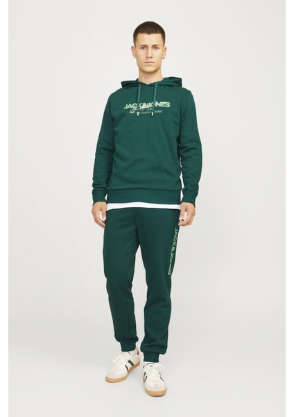 Jpstgordon Jjalvıs Sweat Pants Naf YEŞİL12258477