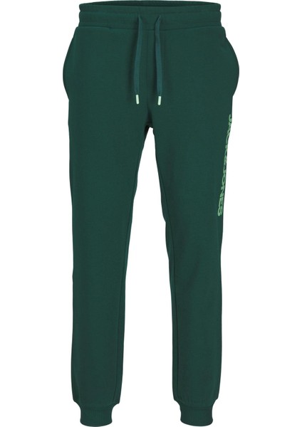 Jpstgordon Jjalvıs Sweat Pants Naf YEŞİL12258477 fiyatları