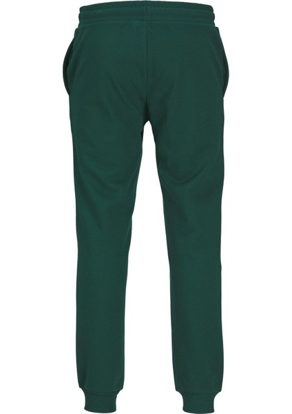 Jpstgordon Jjalvıs Sweat Pants Naf YEŞİL12258477 modelleri