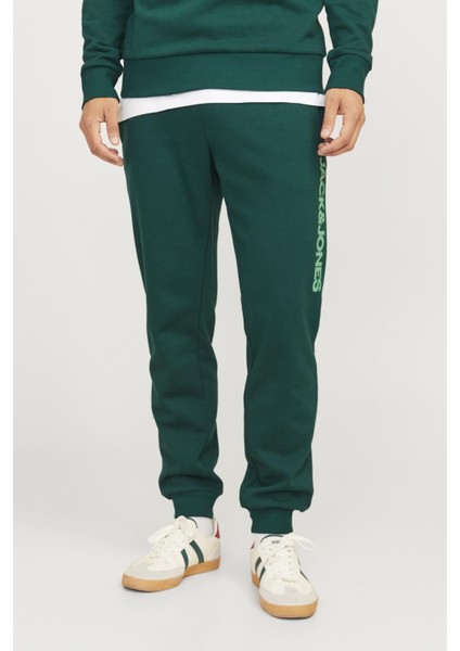 Jpstgordon Jjalvıs Sweat Pants Naf YEŞİL12258477 fırsatları