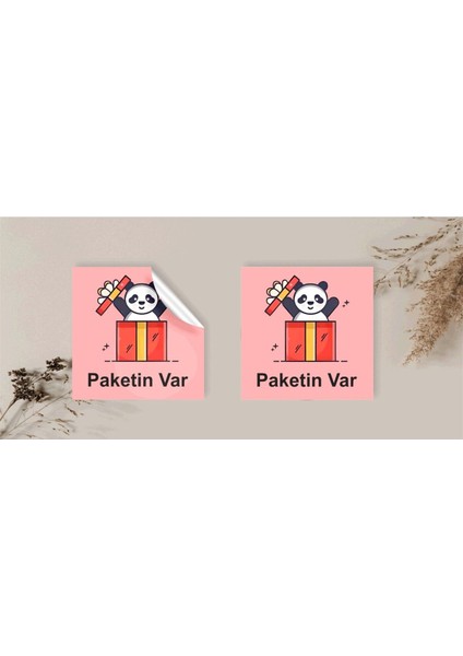Kuşe Sticker Paketleme & Kargo Etiketi (4X4CM) 48 Adet - Paketin Var - 4 Renk Karışık -