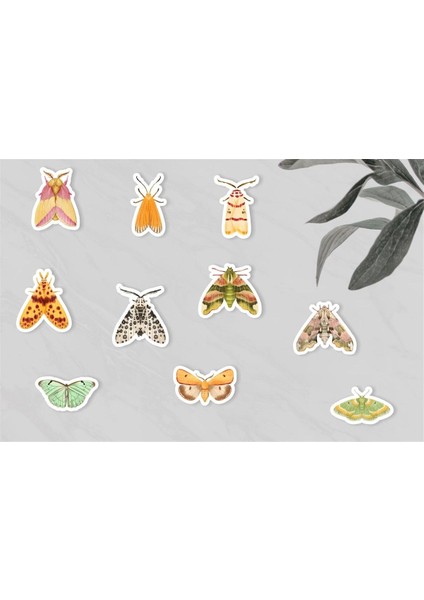 Kelebek Temalı Sticker Seti - 20 Adet - Etiket Seti