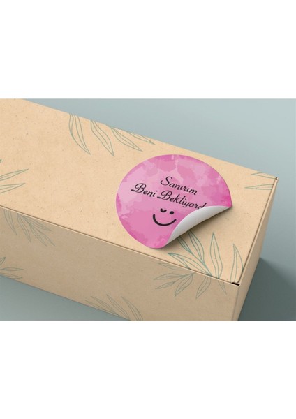 Kuşe Sticker 4x4 cm 42 Adet - Sanırım Beni Bekliyordun modelleri