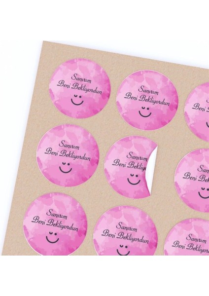 Kuşe Sticker 4x4 cm 42 Adet - Sanırım Beni Bekliyordun indirimleri