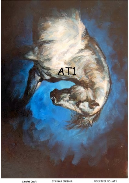 Pirinç Dekopaj Kağıdı 29X42CM No:at1