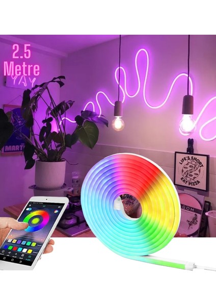 SB-6507 Neon LED Şerit Işık Seti Rgb Çok Renkli Bluetooth Smart Aydınlatma ve Adaptör