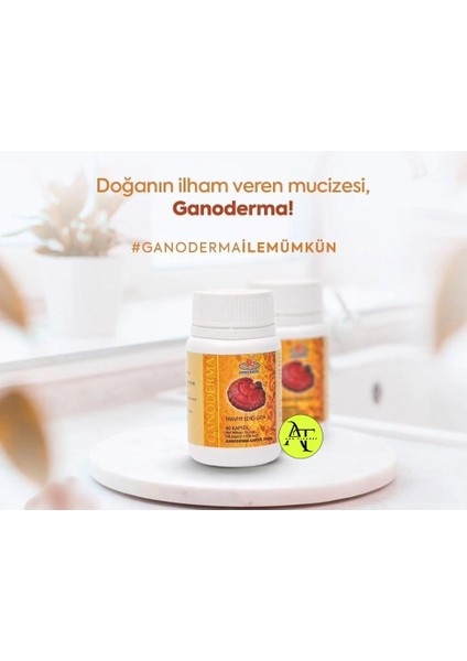 Ganoderma