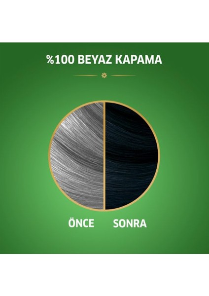 Naturals Saç Boyası Böğürtlen Siyahı 2/8 - SHB4252-4758