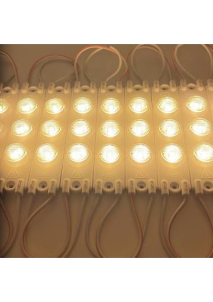 220 Volt 3 Watt 3 Lü Lensli 3030 Modül LED Gün Işığı (5 Adet)