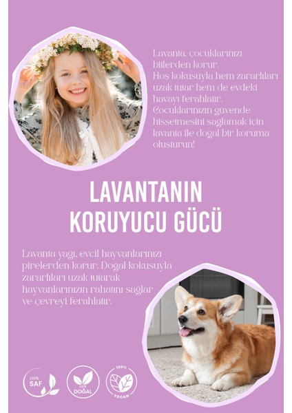 Saf ve Doğal Uçucu Lavanta Yağı modelleri
