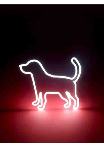 Neon LED Işıklı Köpek