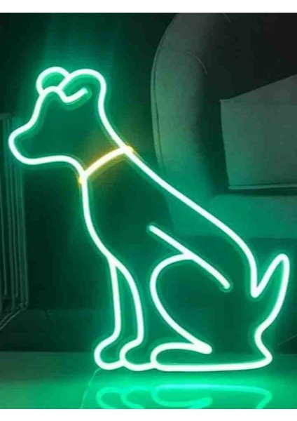 Neon LED Işıklı Köpek