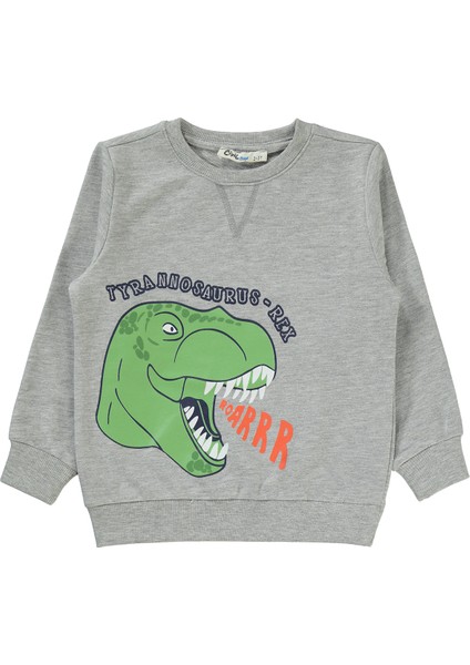 Erkek Çocuk Sweatshirt 2-5 Yaş Grimelanj