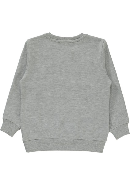 Erkek Çocuk Sweatshirt 2-5 Yaş Grimelanj fiyatları