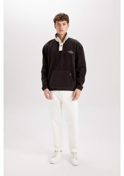 Boxy Fit Çıtçıt Kapamalı Dik Yaka Nakışlı Polar Sweatshirt D2029AX24WN fiyatları