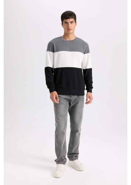 Regular Fit Bisiklet Yaka Jakarlı Sweatshirt D5393AX24AU