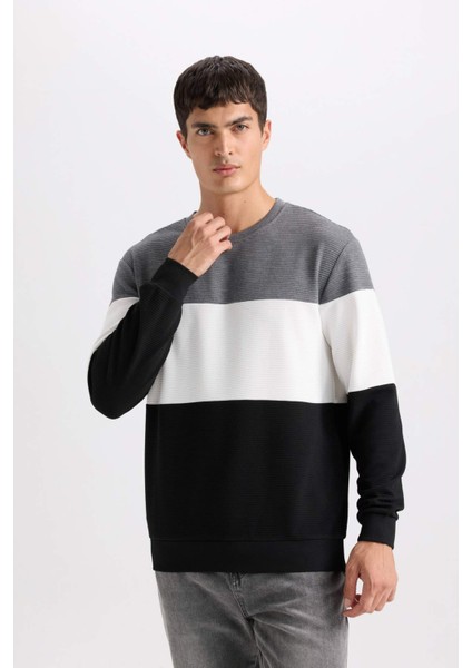 Regular Fit Bisiklet Yaka Jakarlı Sweatshirt D5393AX24AU
