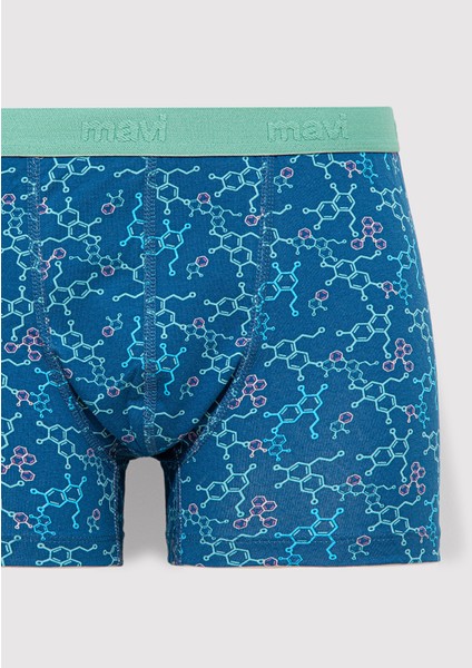 Baskılı Mavi Boxer 0911636-70861 fiyatları