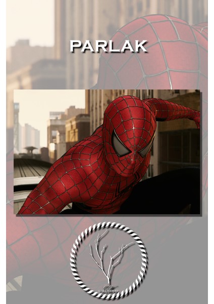 Marvel Spider Man 2 Film Posteri/ Tobie Maguire/ Yüksek Kaliteli Poster, Duvar Kağıdı