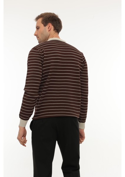 Kahverengi Düğme Detaylı Çizgili Polo Yaka Triko Kazak -2446 fırsatları