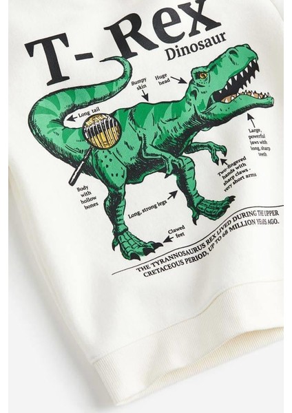 T-Rex Sweat