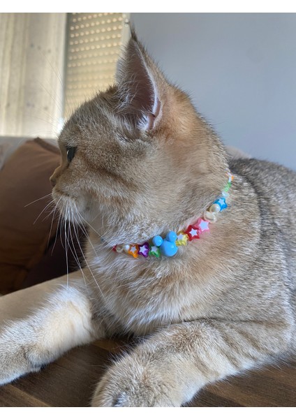Renkli Boncuklu Kedi Tasması Kedi Kolyesi Küçük Irk Köpek Tasması