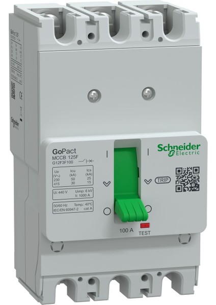 Gopact Şalter 125F 30KA Ac 3P3D 100A Sabit