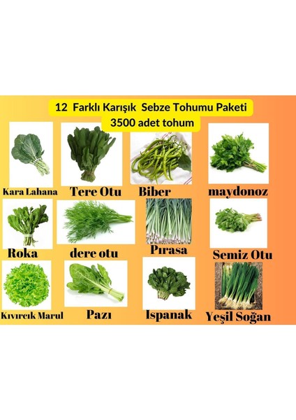 12 Çeşit Sebze Tohum Paketi - Maydanoz, Tere, Roka, Dereotu ,soğan,ıspanak ,marul,biber,pırasa,pazı