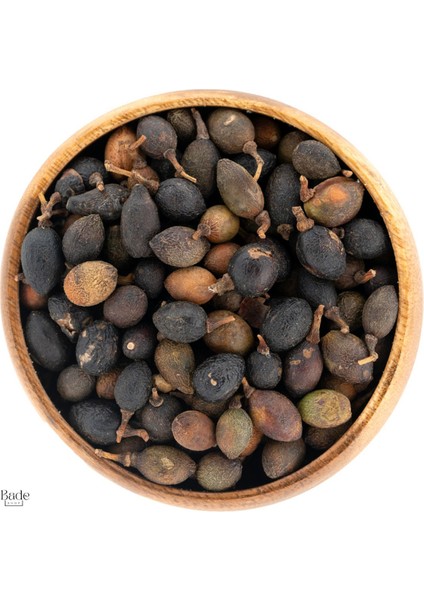 200GR -Defne Tohumu ( Doğal Kurutulmuş, Yenilenebilir) fiyatları