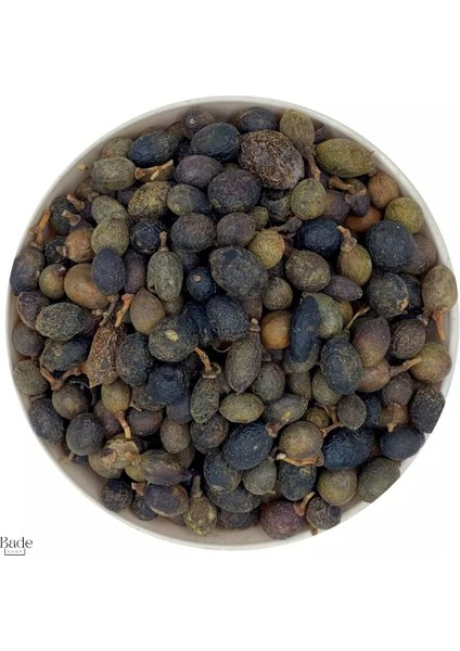 50 gr -Defne Tohumu ( Doğal Kurutulmuş, Yenilenebilir)